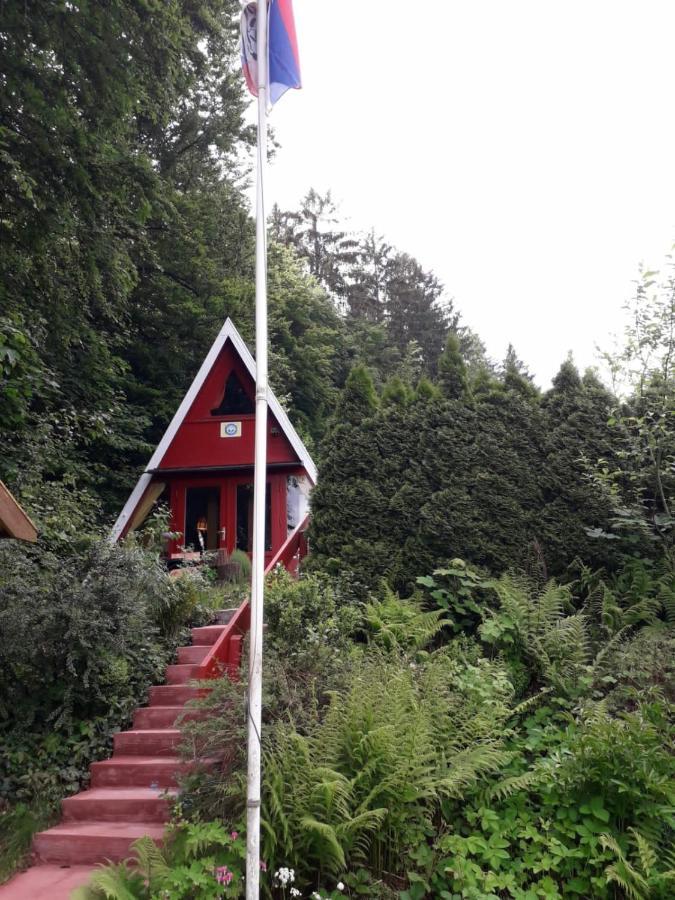 Ferienhaus Sommerland Auszeithuette Freyung Esterno foto