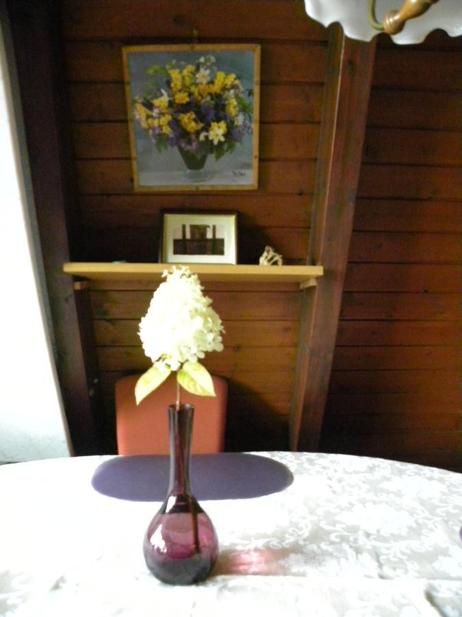 Ferienhaus Sommerland Auszeithuette Freyung Esterno foto